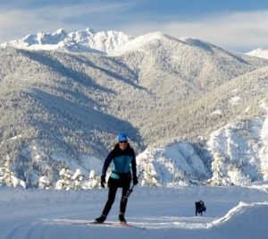 cross-country skiing with dog in the Methow Valley